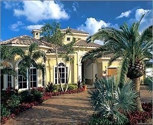 Home With Palm Trees